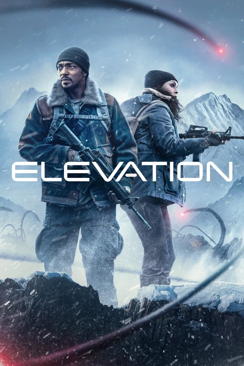 Elevation / Strefa 2024