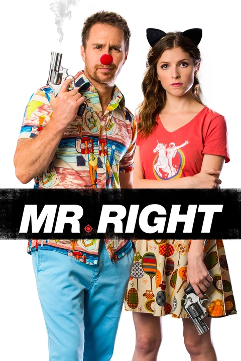 Mr. Right / Pan Idealny 2015