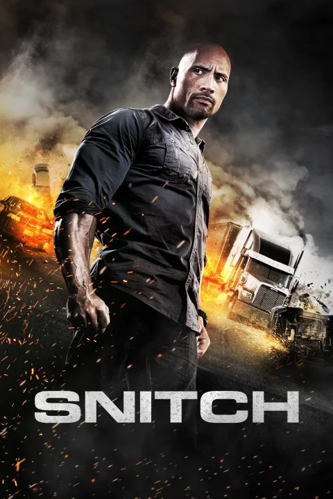 Snitch / Infiltrator 2013