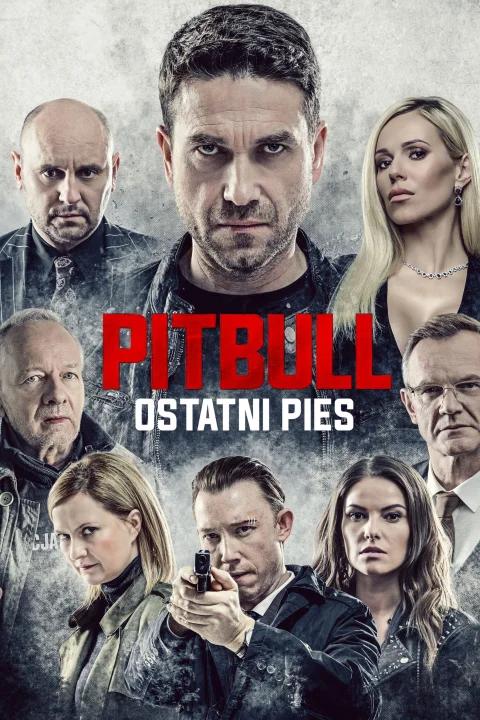 Pitbull. Ostatni pies 2018