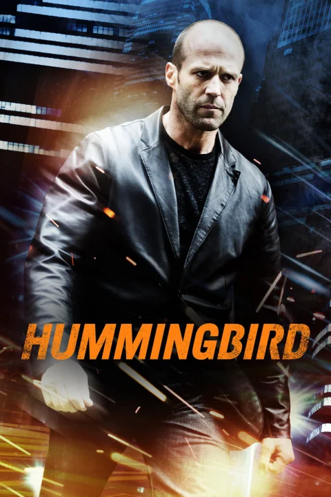 Hummingbird / Koliber 2013
